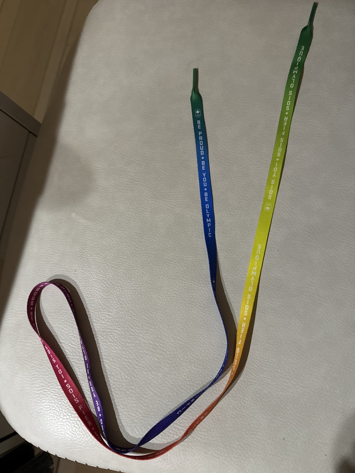 1x Rainbow Shoelace thumbnail