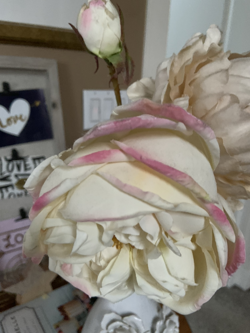 Ceramic Vase - photo 3