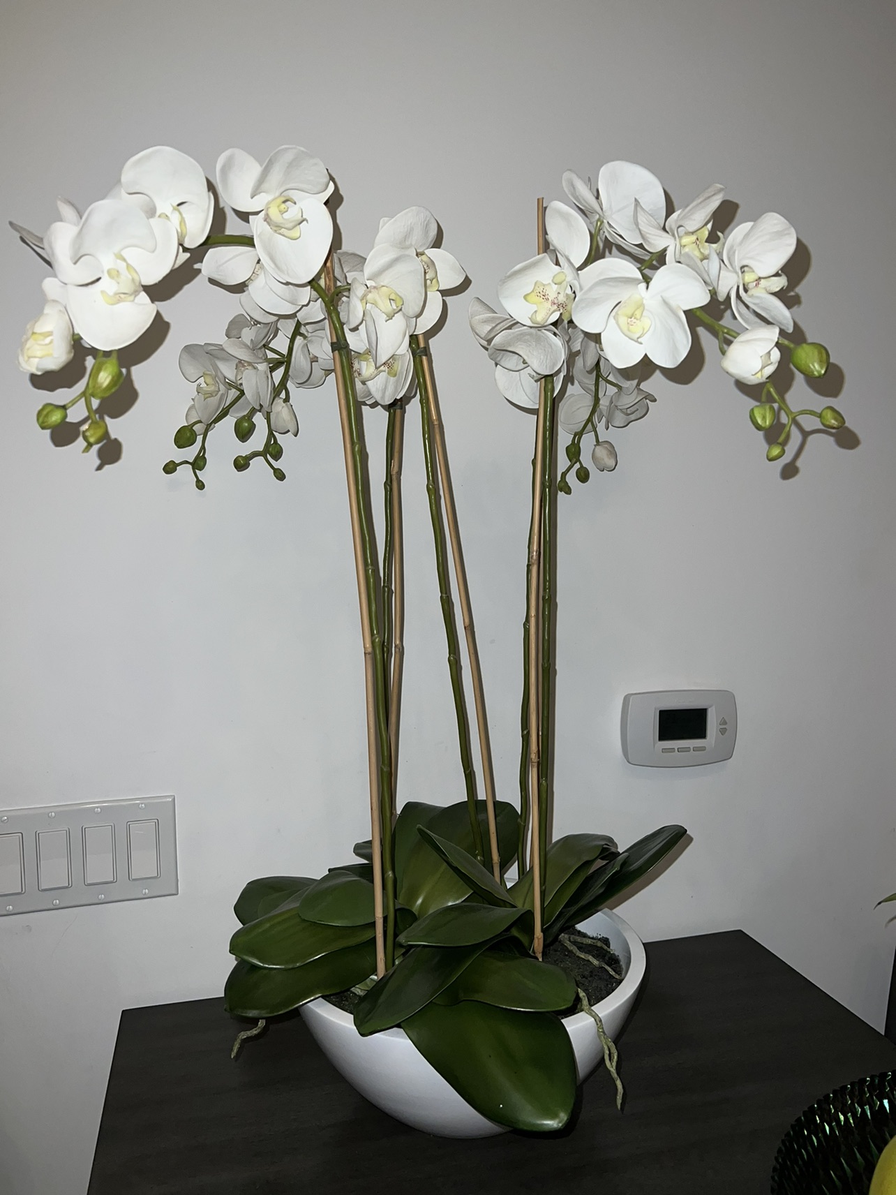 Faux orchid plant thumbnail