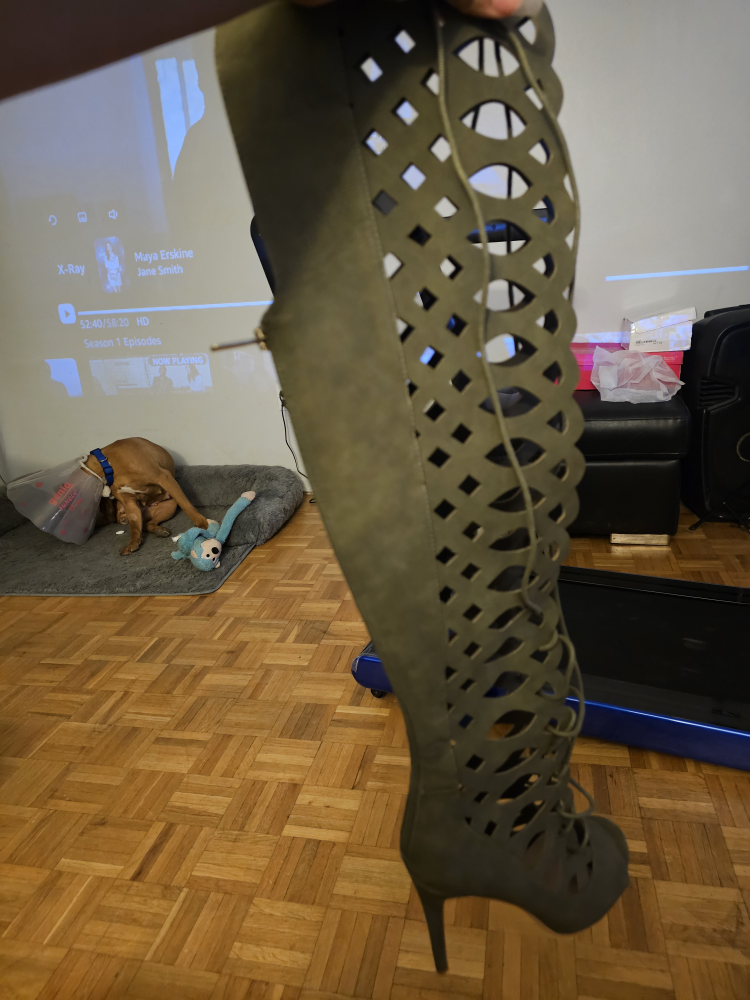 High Heel Boot image indicator(2)