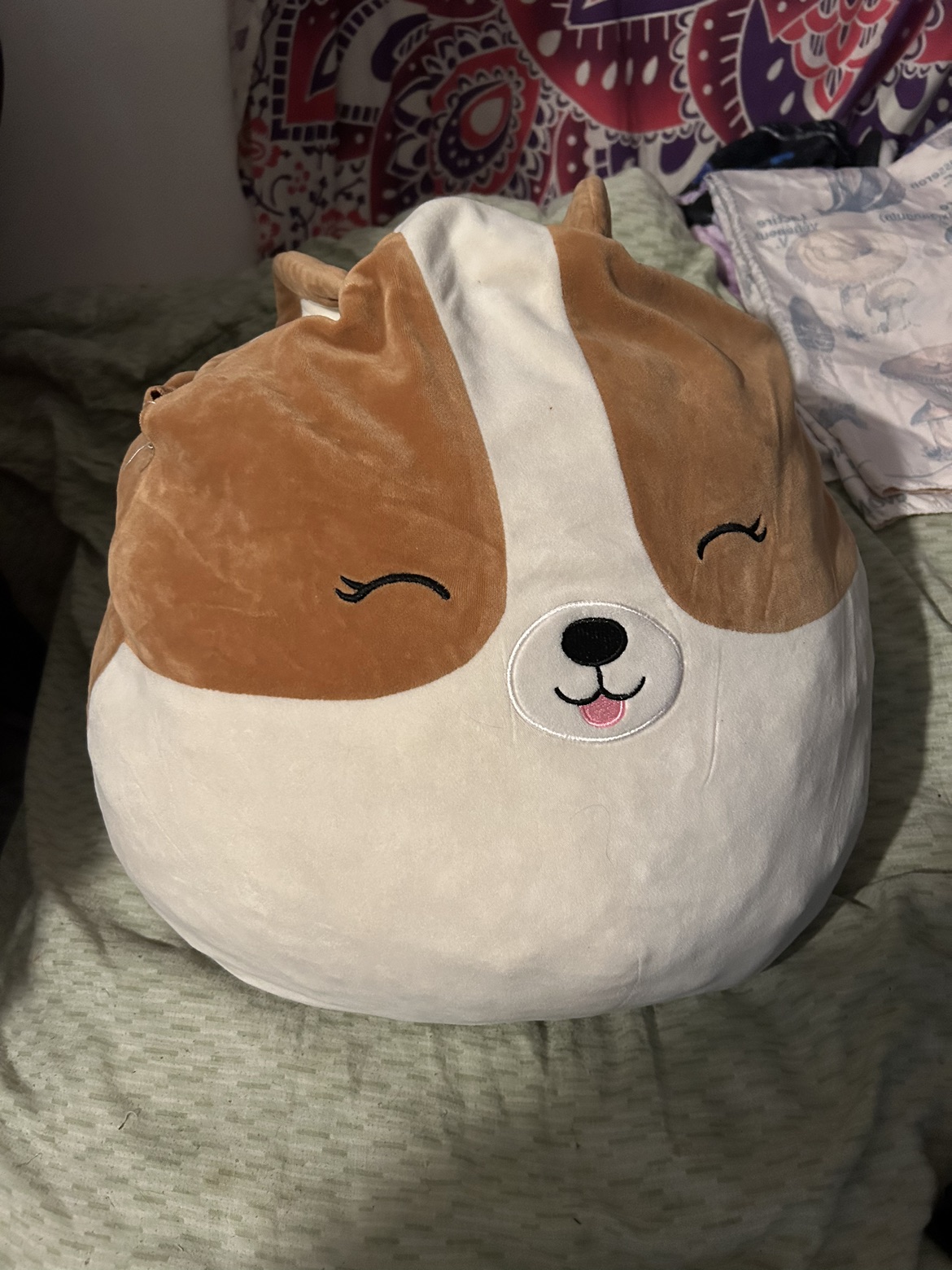 Large squishmallow image indicator(2)