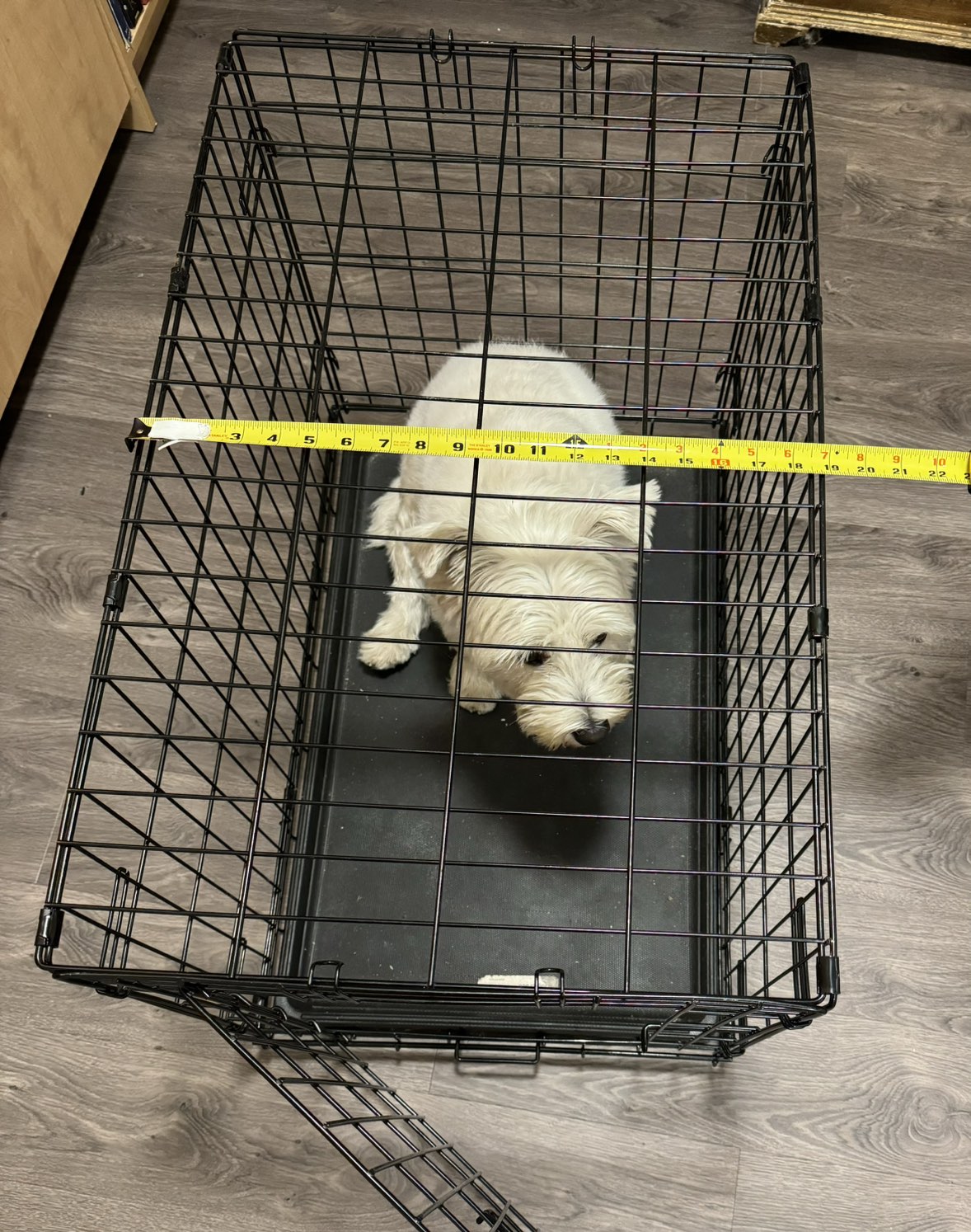 Dog crate - photo 2