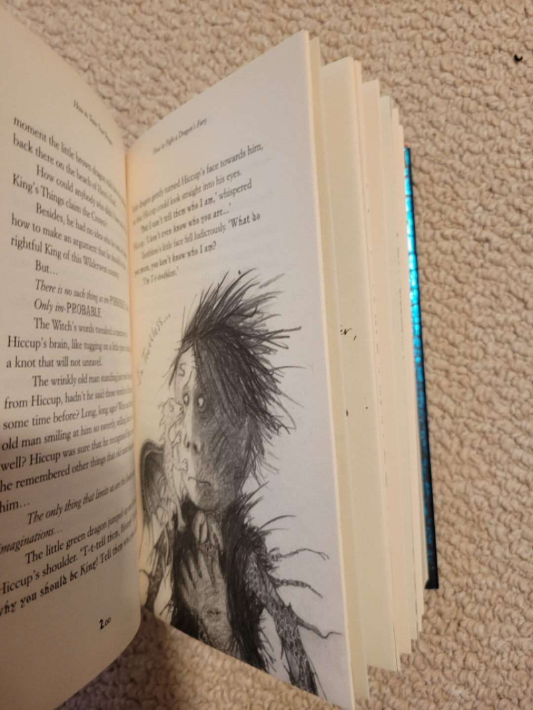 How to Train Your Dragon Kid's Hardcover Book image indicator(5)