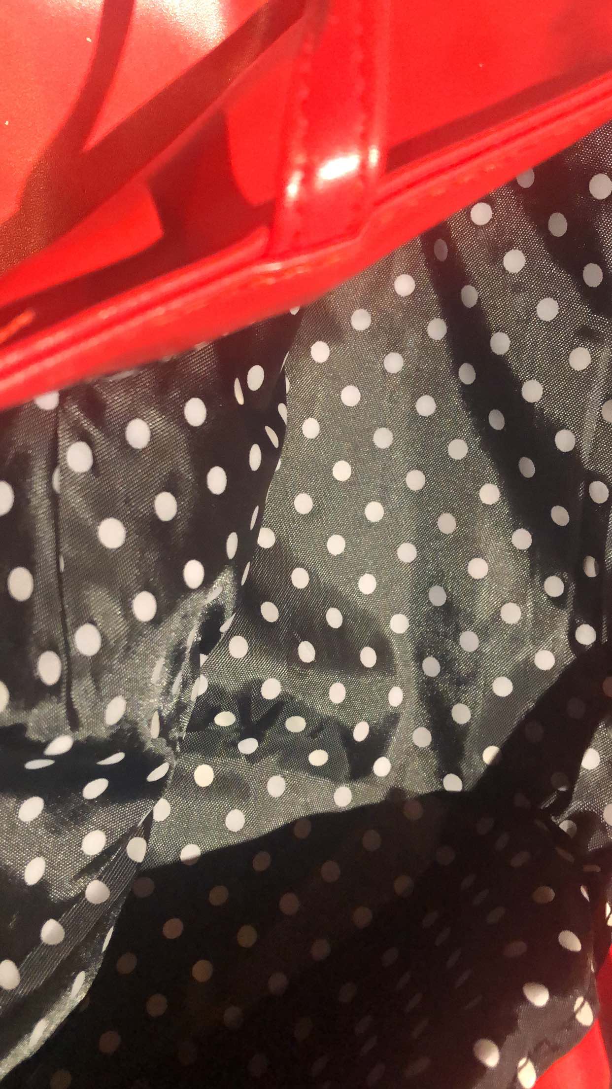 Red & Black Purse (unknown brand ) image indicator(3)