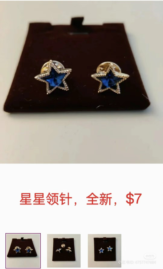 Brooche and collar pins bundle image indicator(4)