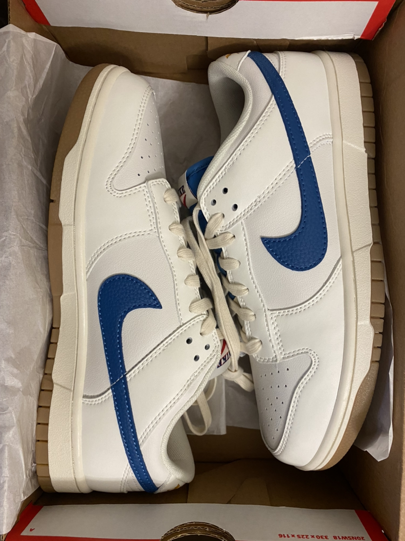 Nike dunk