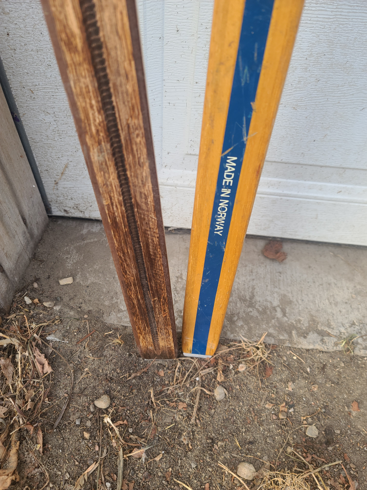 vintage 1960 cross country skis image indicator(5)