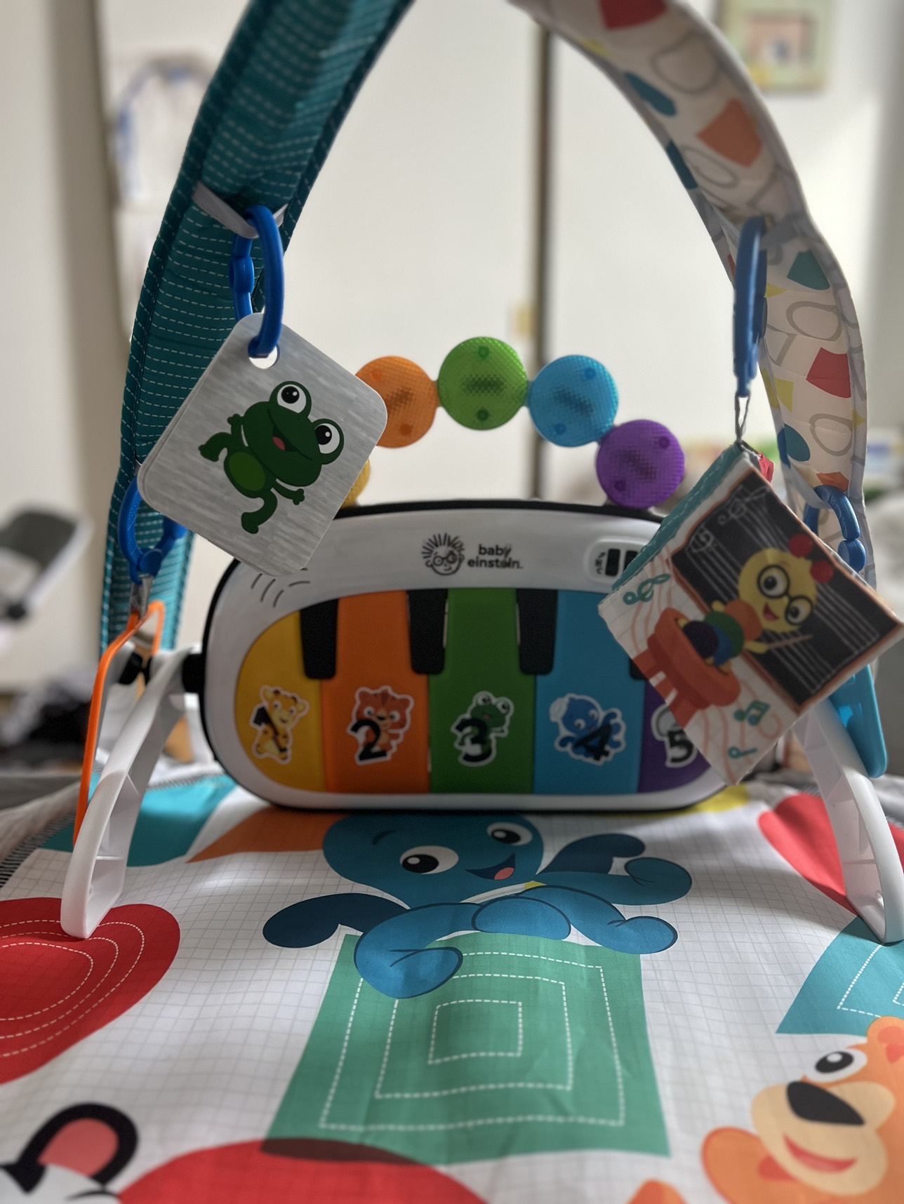 Baby Einstein Play Mat - photo 2