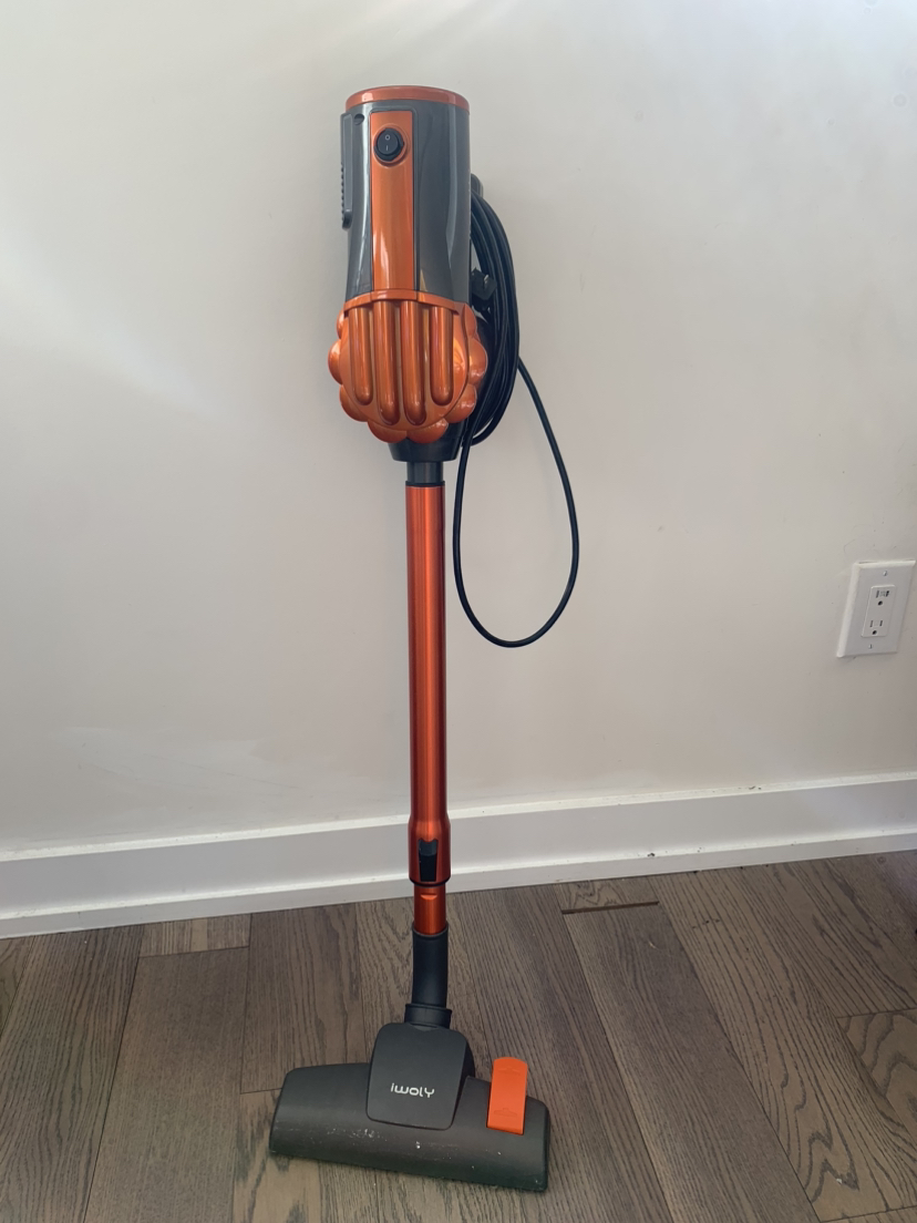 Vacuum cleaner iWoly