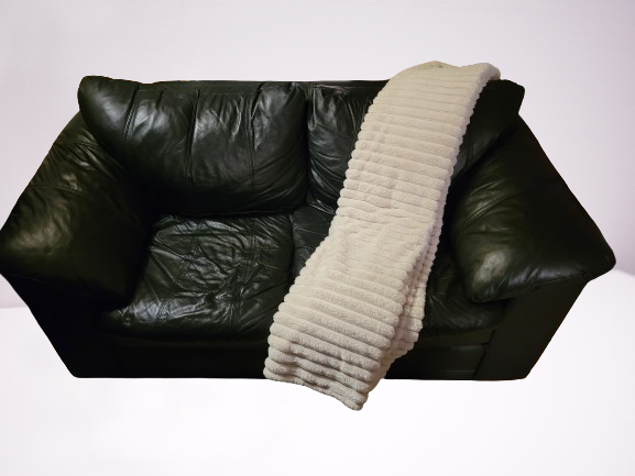 FREE Leather Loveseat Couch