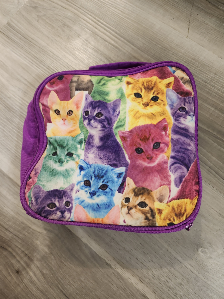 lunch box bag #freecycle - photo 2