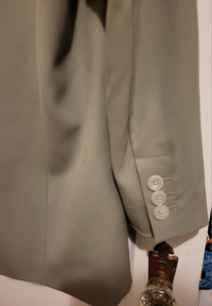 Babaton Blazer Size: S image indicator(7)