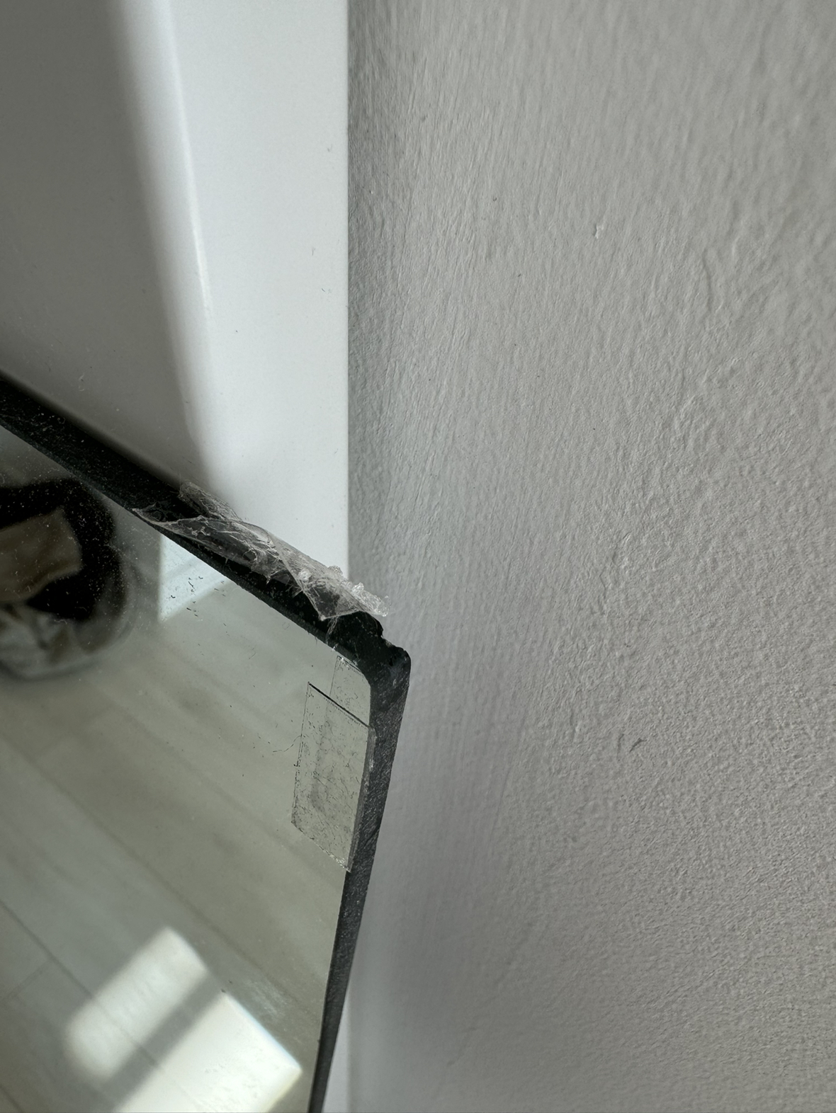 Body Mirror image indicator(4)