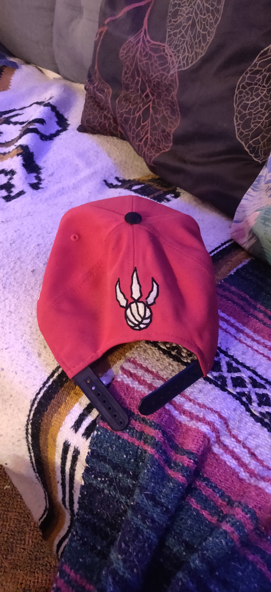 Toronto Raptors Hat image indicator(2)