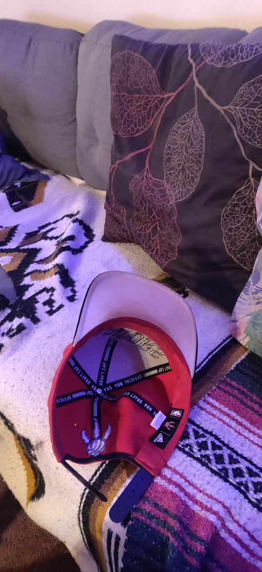 Toronto Raptors Hat image indicator(3)