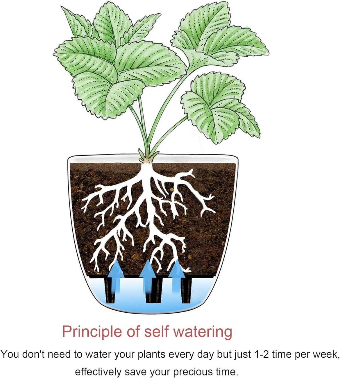 T4U Self Watering Planters - Set of 4 - photo 5