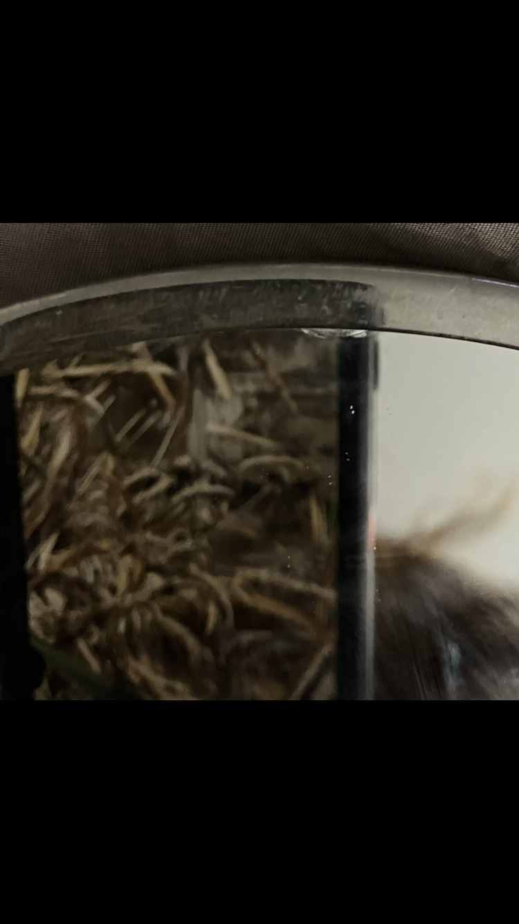 Footed Double Sided Metal Framed Mirror 🪞 image indicator(5)