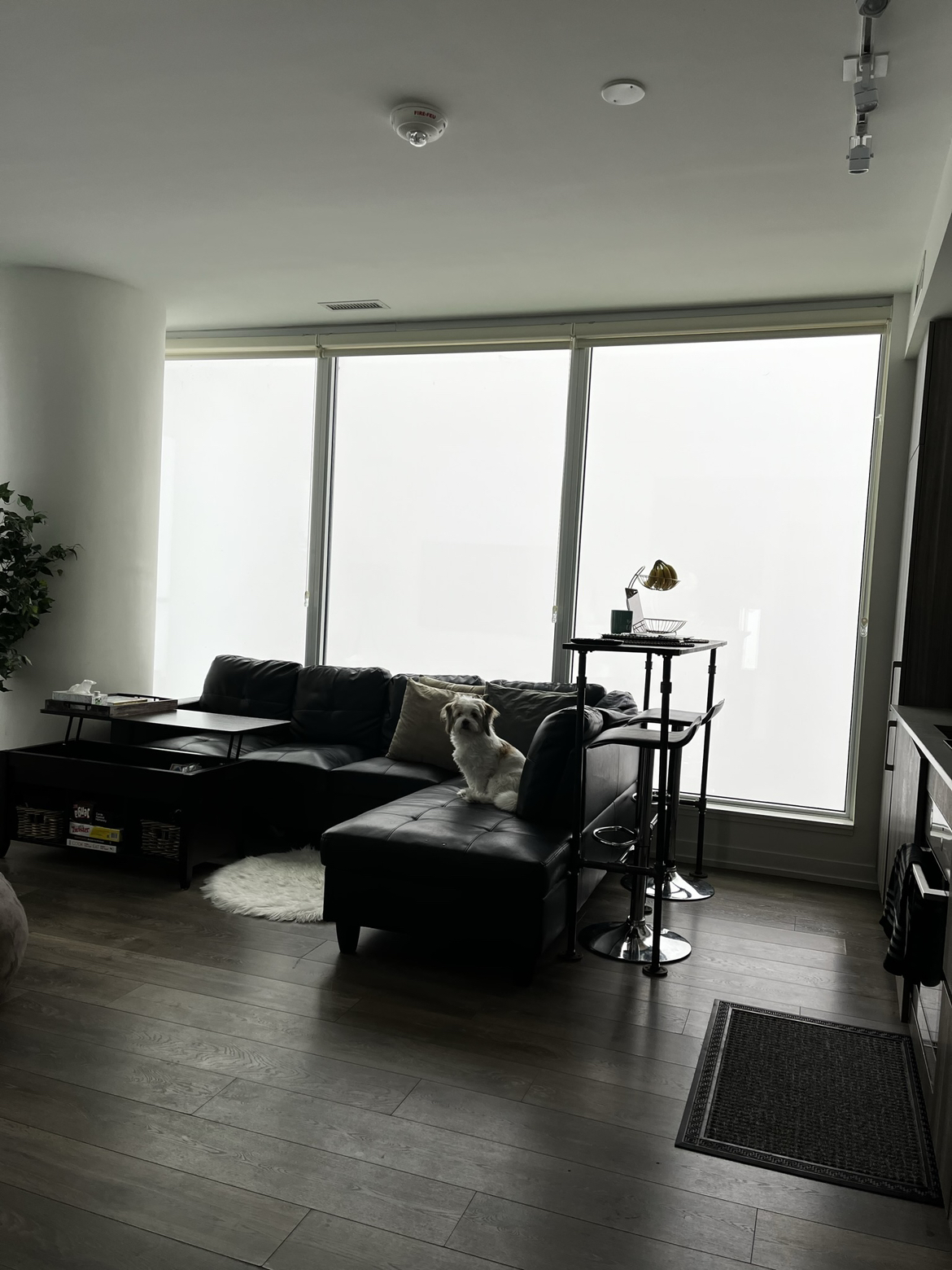 Vegan Leather Sectional-2 piece thumbnail