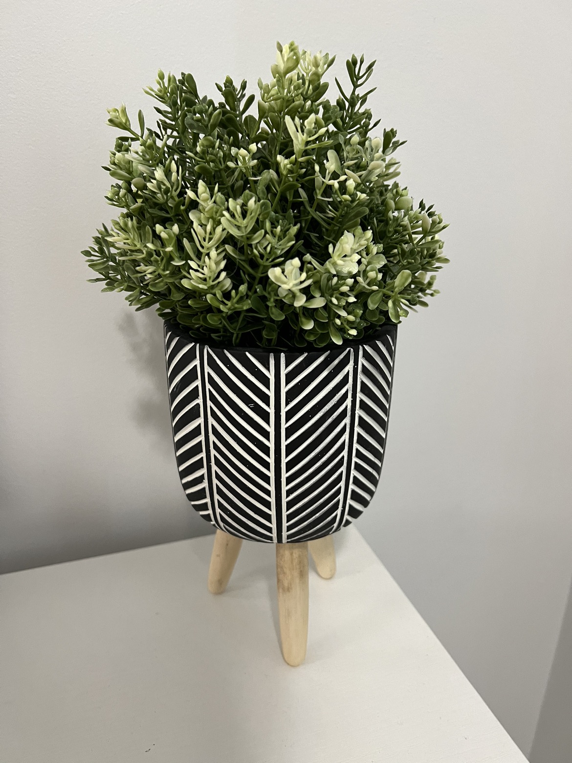 plant pot/ plant stand with plant