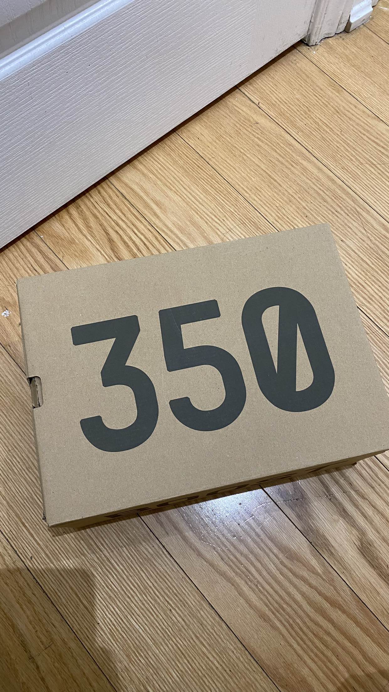 Yeezy boost 350 V2 Mono Ice image indicator(7)