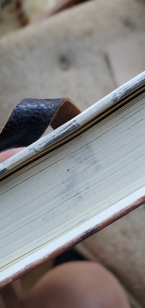 Venice Hardcover Notebook with matching leather bookmark image indicator(4)