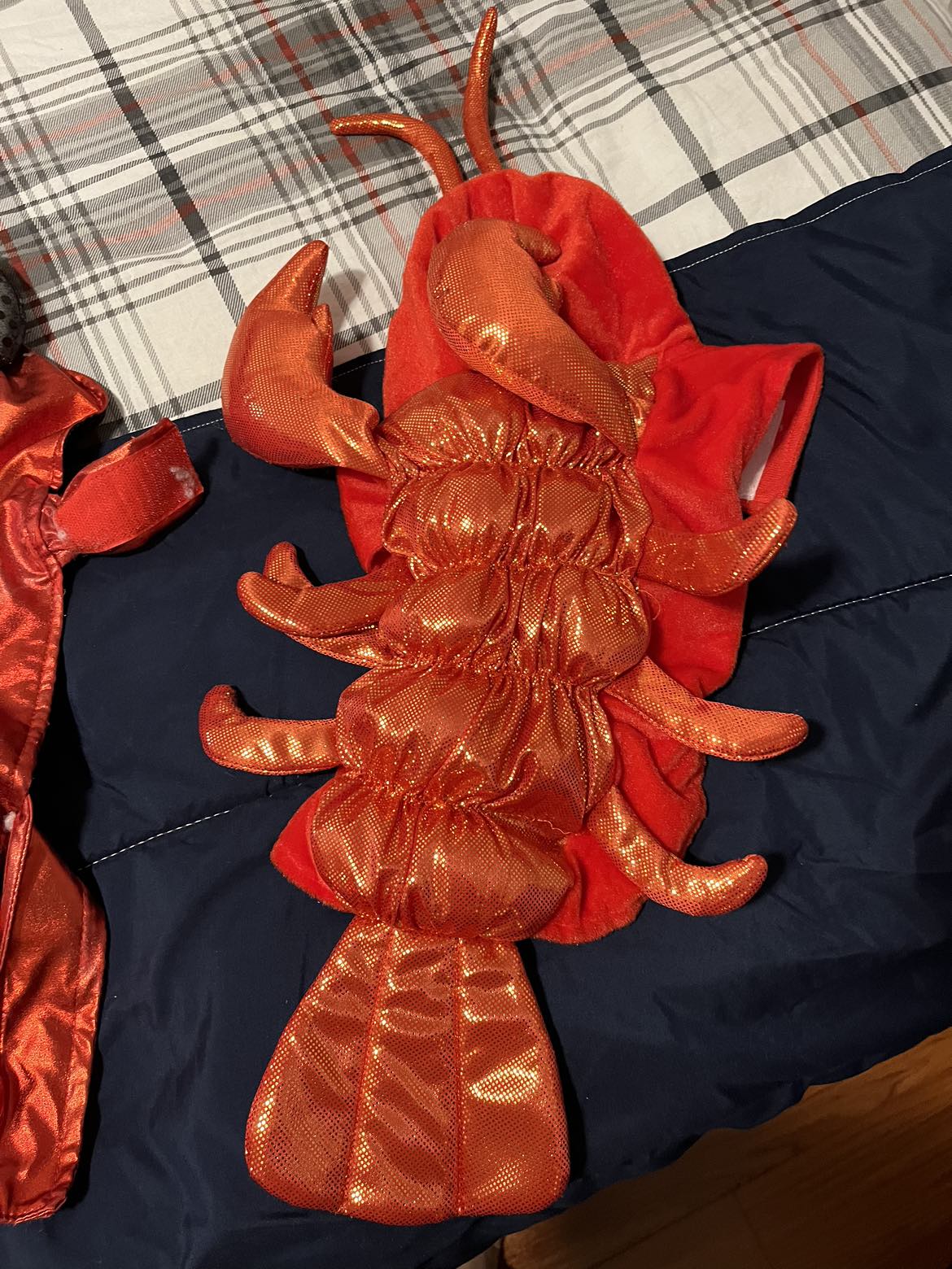 Dog costumes image indicator(2)