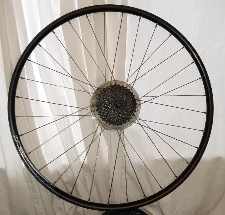 Back bicycle wheel , 8 speed, Shimano, 29"