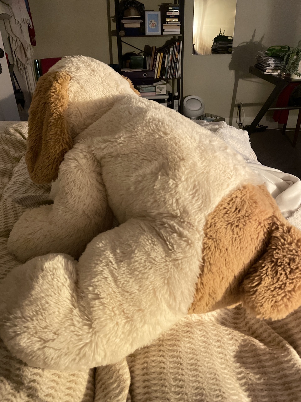 Plush doggie - XL image indicator(2)