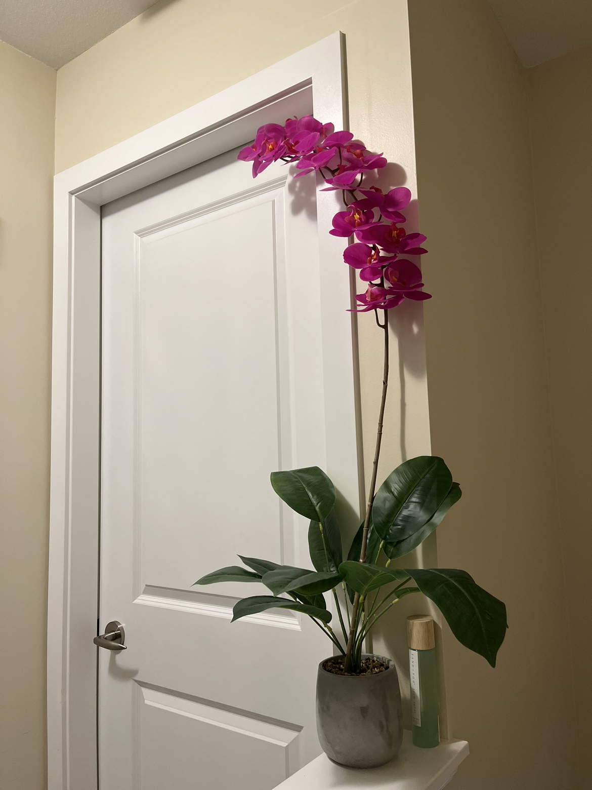 Artificial Plant