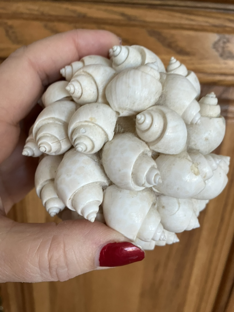 Table decor image indicator(6)