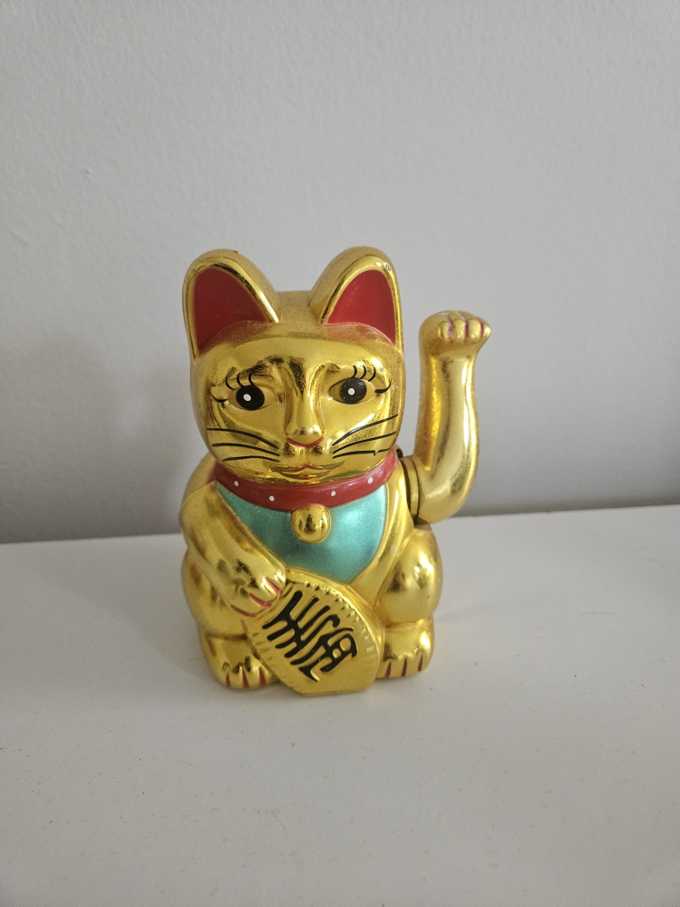 Lucky cat 🏈
