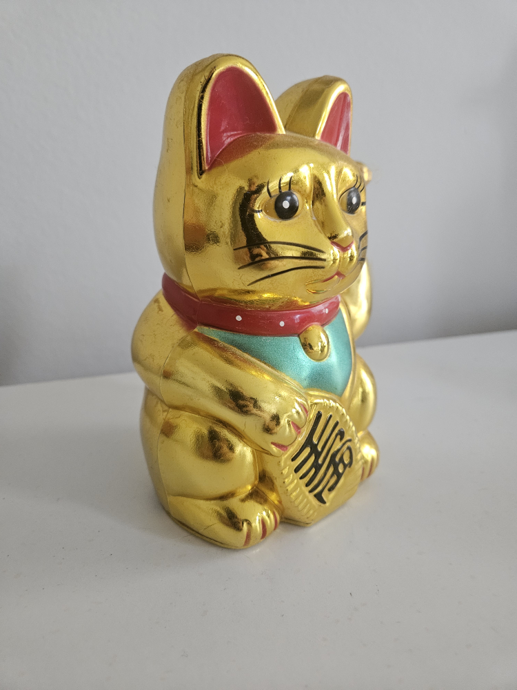 Lucky cat 🏈 - photo 2