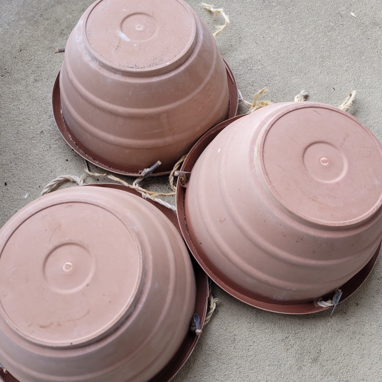 🥕 Hanging planters (3) image indicator(3)