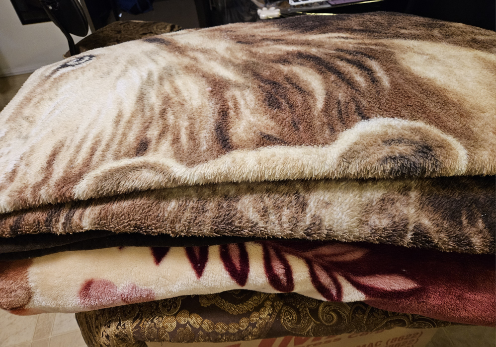 FREE Comforters/blankets (queen size)