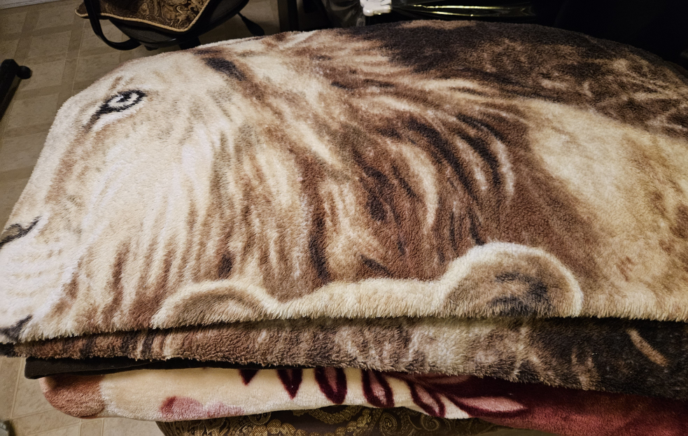 FREE Comforters/blankets (queen size) - photo 2