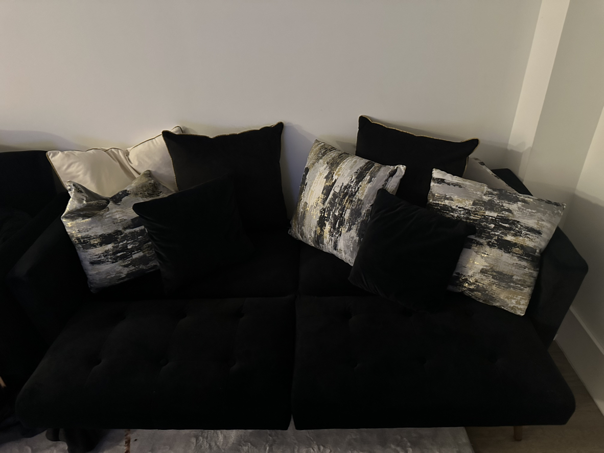 Sofa/Futon will include pillows