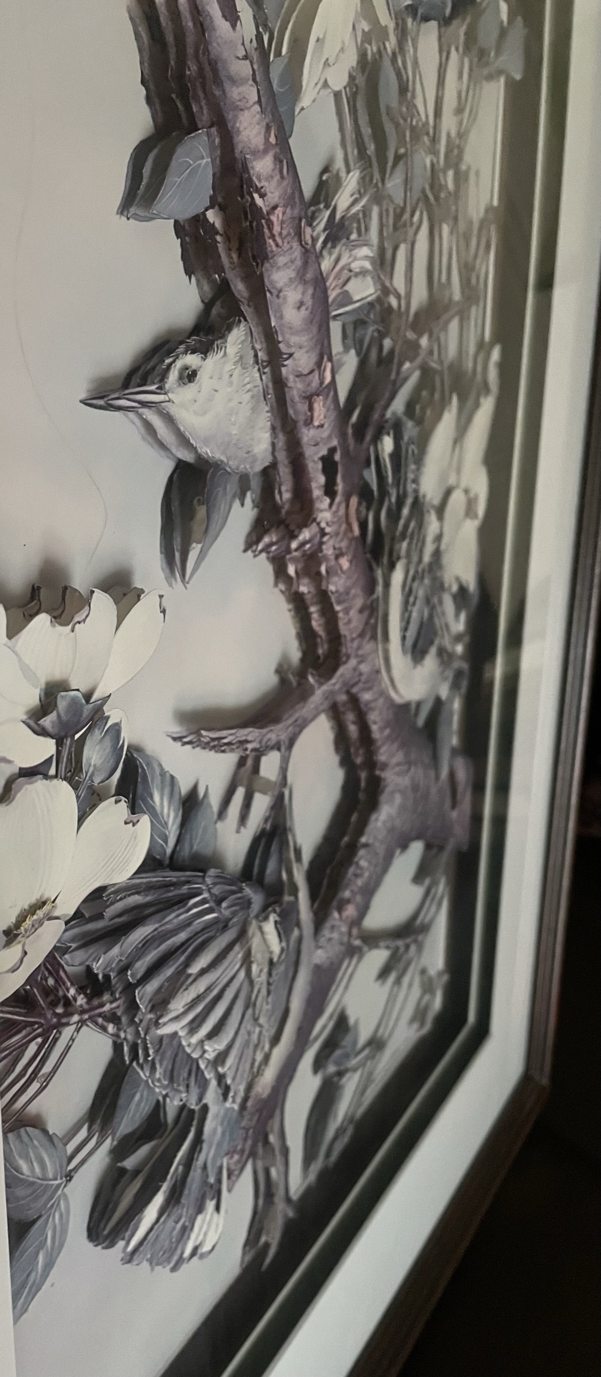 *REDUCED* VINTAGE BASIL EDE BLUE JAYS IN 3D  PAPER TOLE 🏈 image indicator(4)