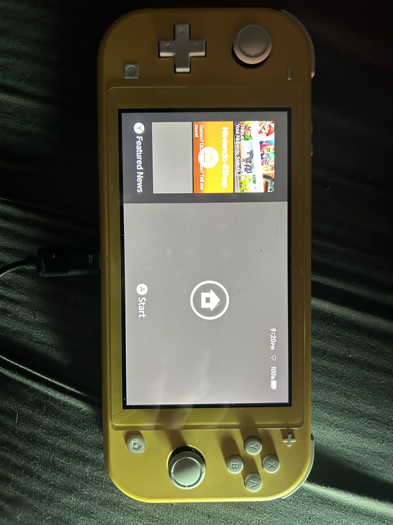 Switch Lite and Animal Crossing - photo 3