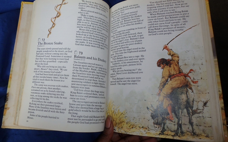 The Children's Bible Book - photo 3