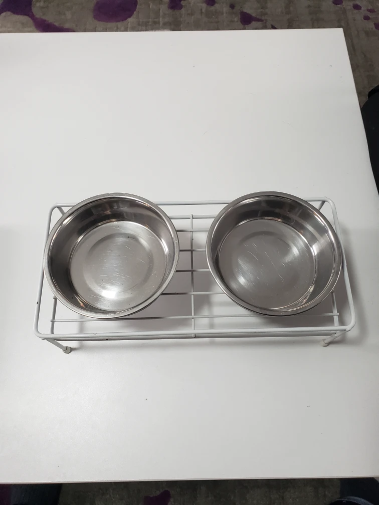 cat dishes thumbnail