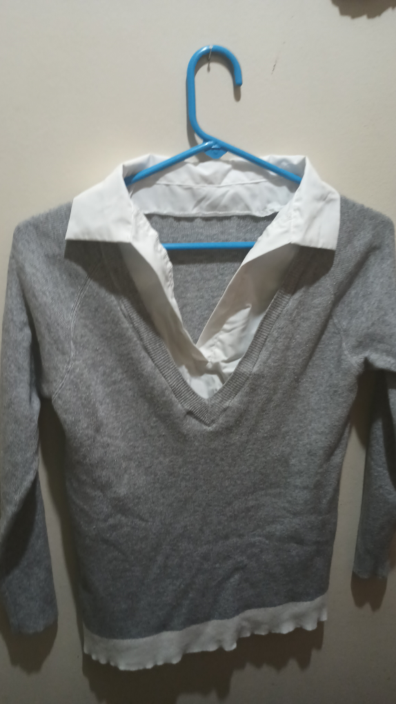 shirt /sweater