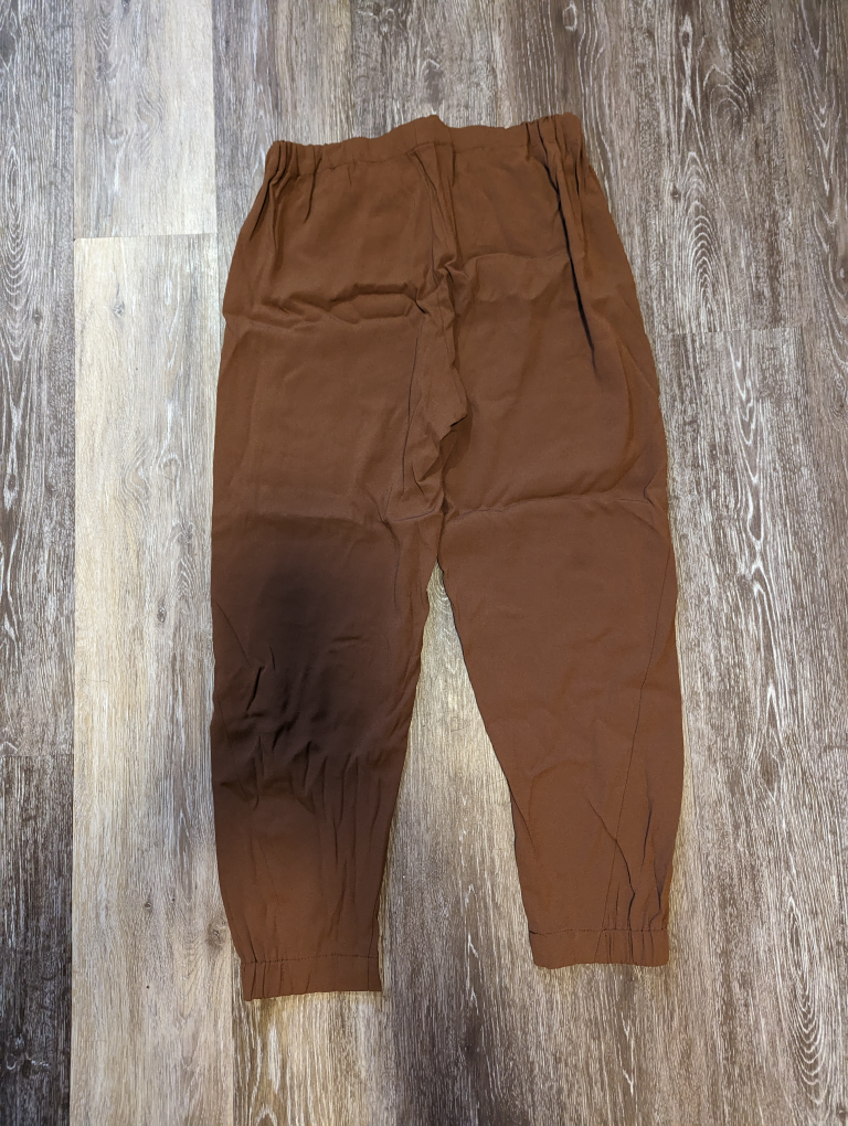 Women's Artizia Babaton pants - Size S image indicator(3)