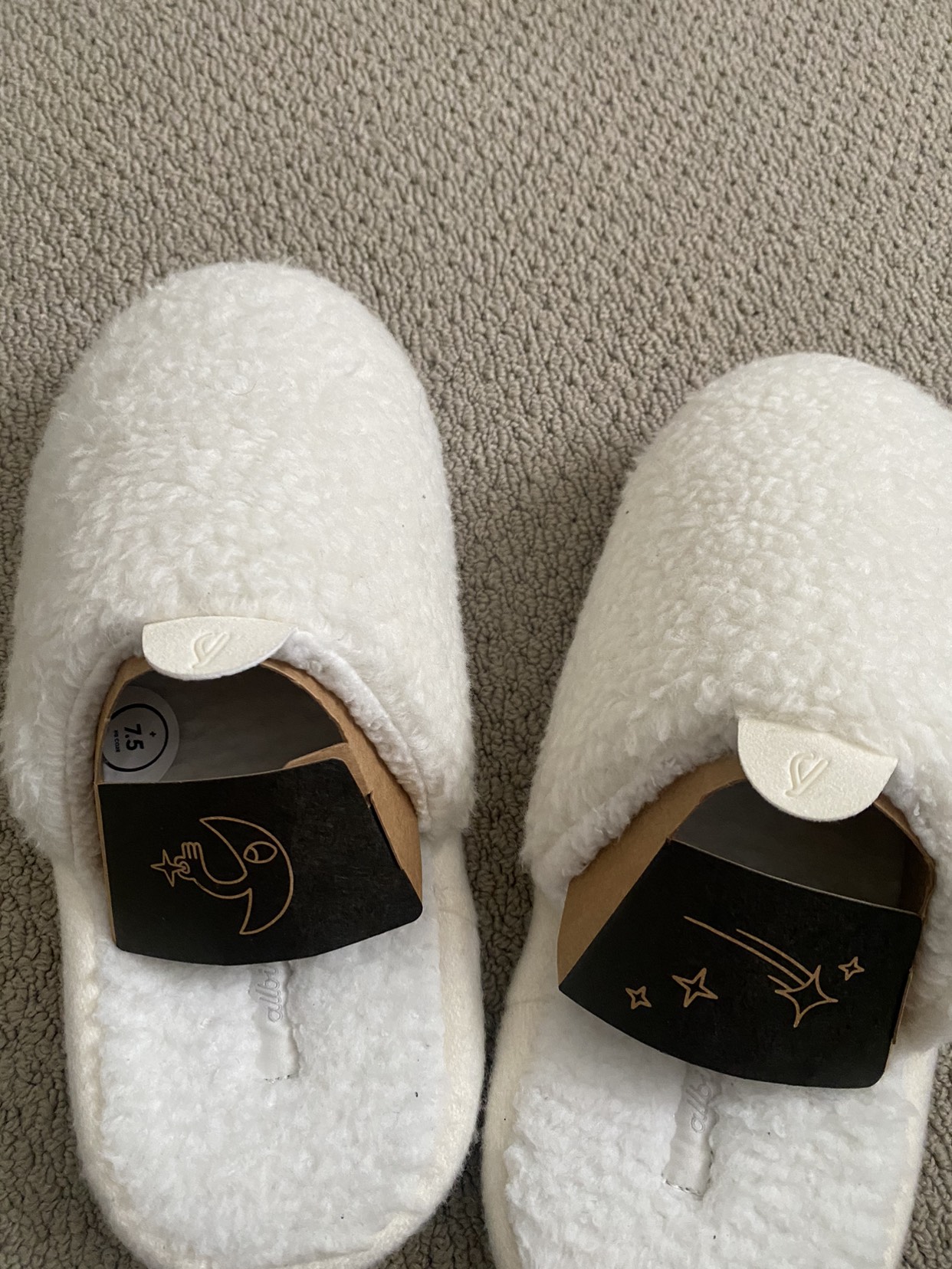 Allbirds slippers s7
