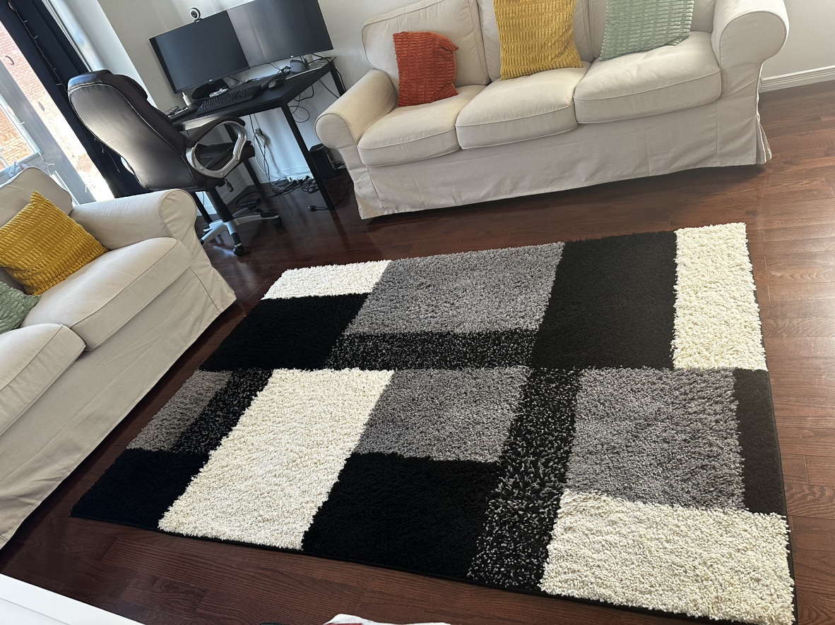 Area rug - photo 2