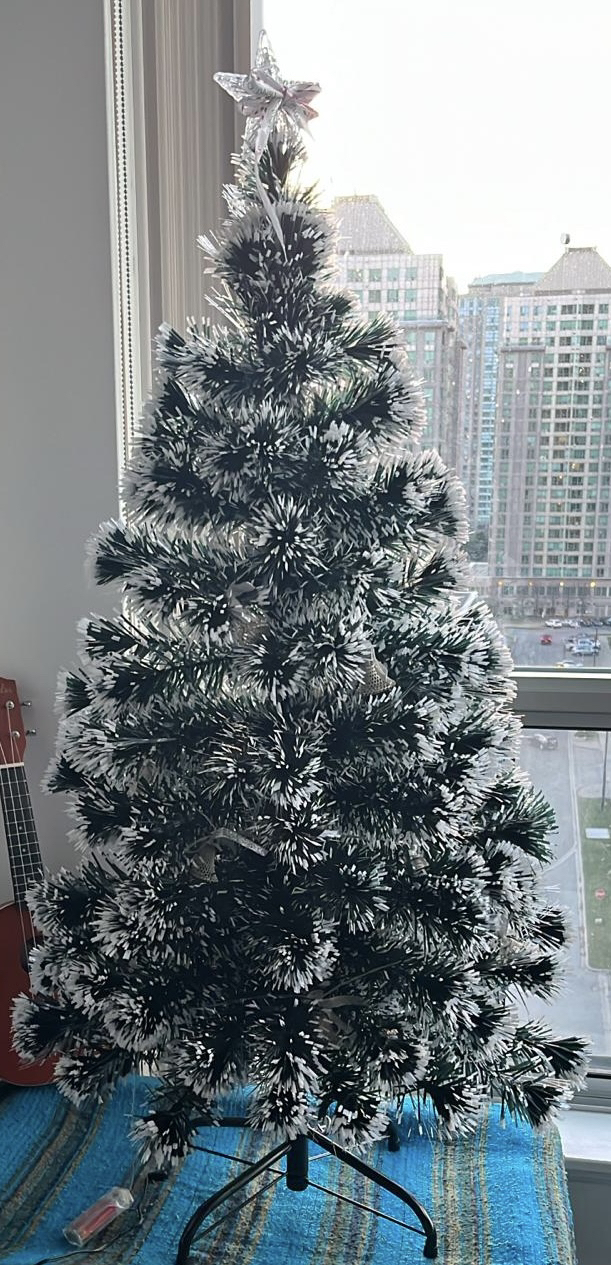 CHRISTMAS TREE FOR SALE image indicator(3)