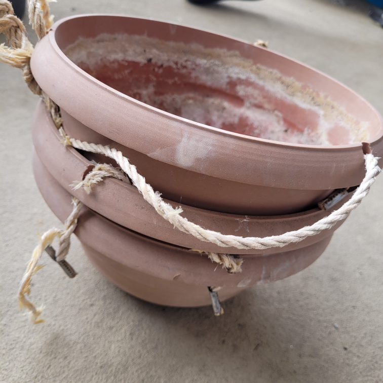 🥕 Hanging planters (3) image indicator(2)