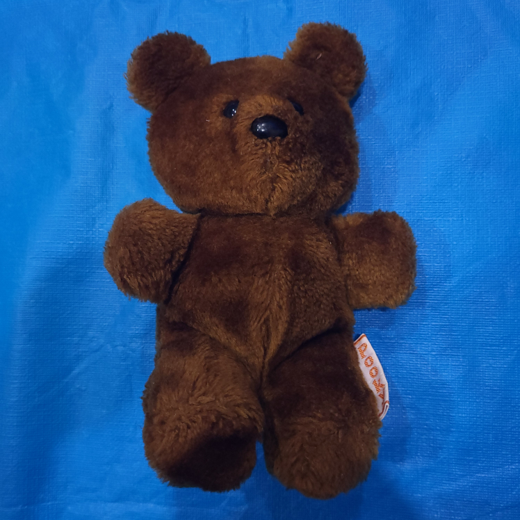Vintage 1983 Dakin Pooky Bear 8" Plush Garfield thumbnail