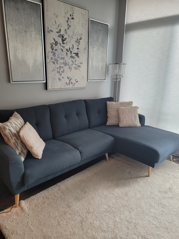 sofa /sectional / couch thumbnail
