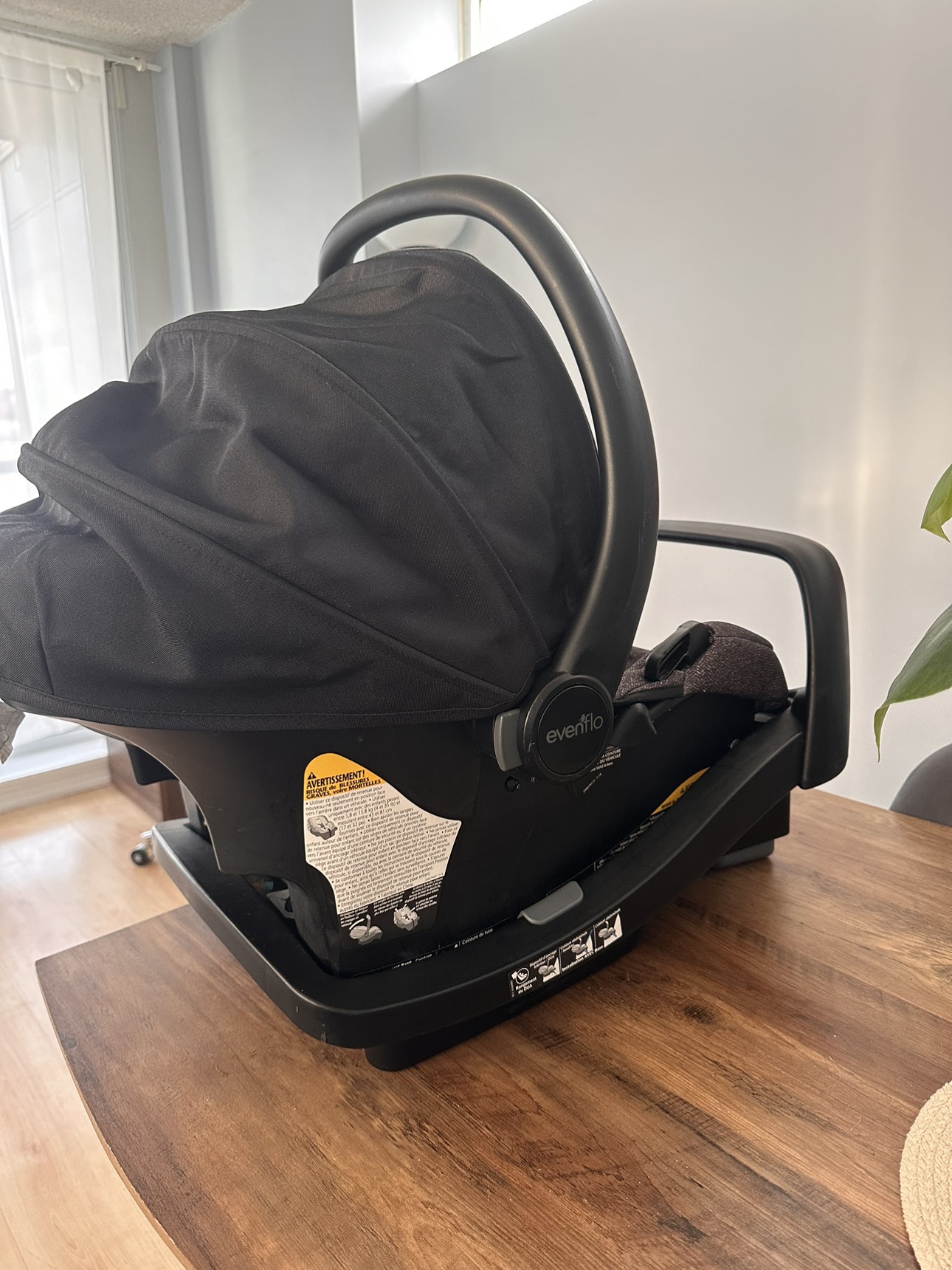 Evenflo infant car seat image indicator(4)