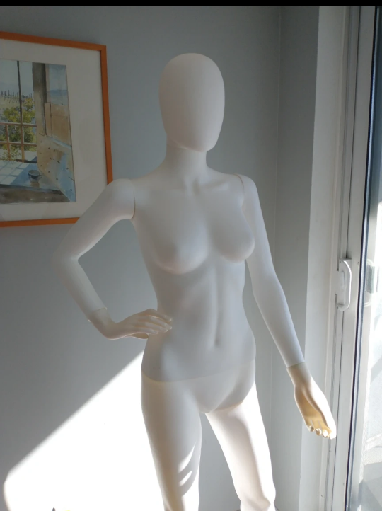 Full Mannequin with Movable Arms image indicator(2)